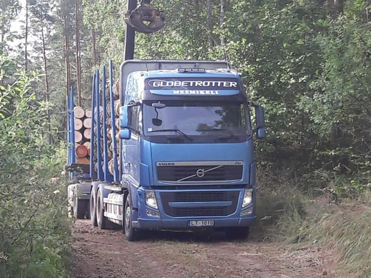 Mežmikeļi kokvedējs droši pārvadā kvalitatīvus apaļkokus.