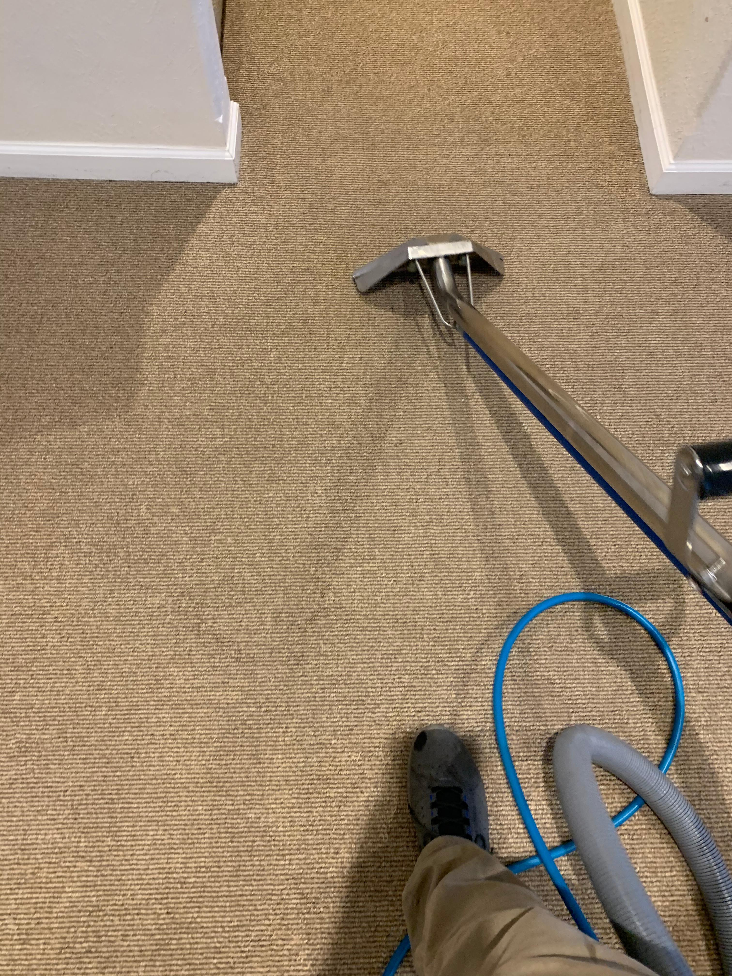 SteamerCo Carpet Cleaning Photo