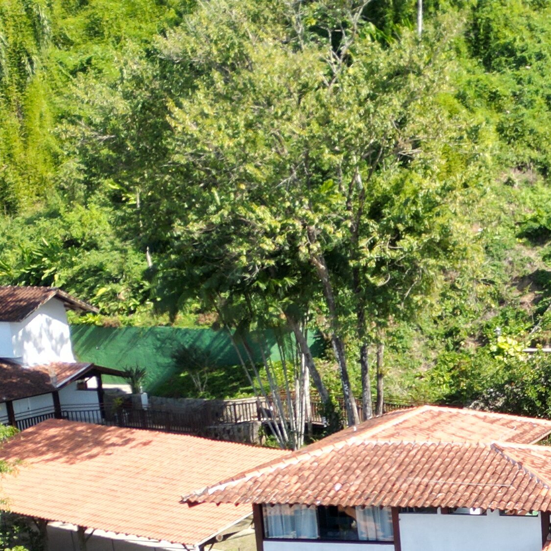 Images Hotel Coquille