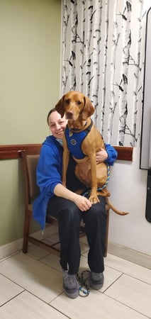 Images VCA Bridgeport Animal Hospital