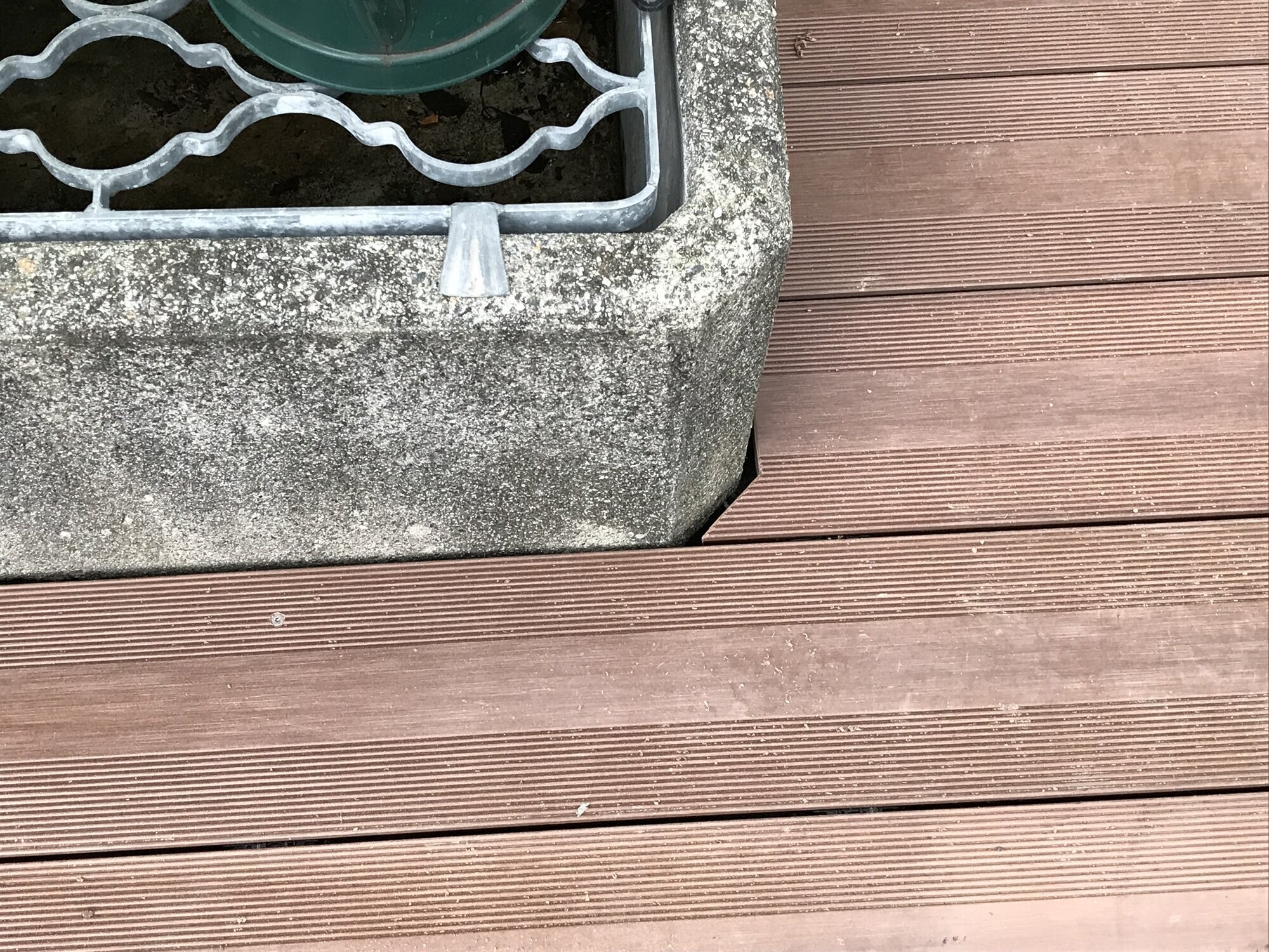 Bilder Gartenbau Scheungraber