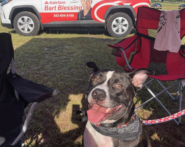 Images Bart Blessing - State Farm Insurance Agent