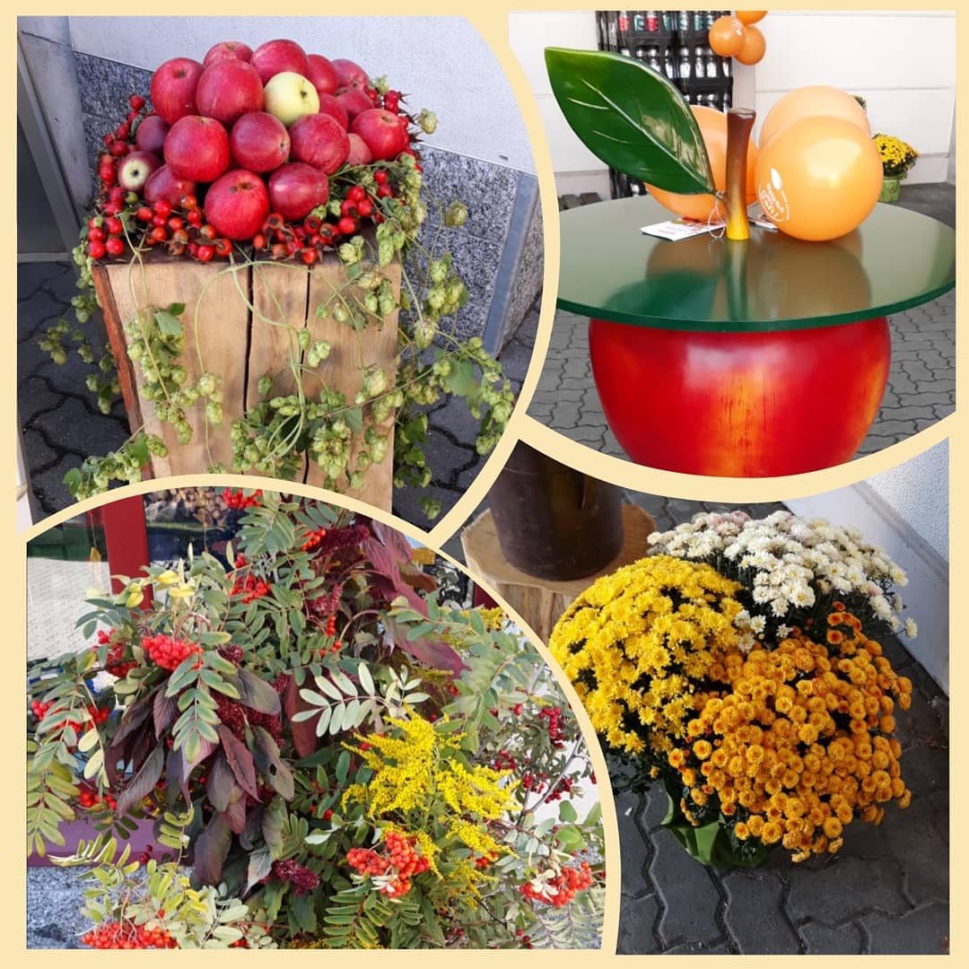 KEKILA e.K., Grüne Aue 18 in Kottmar