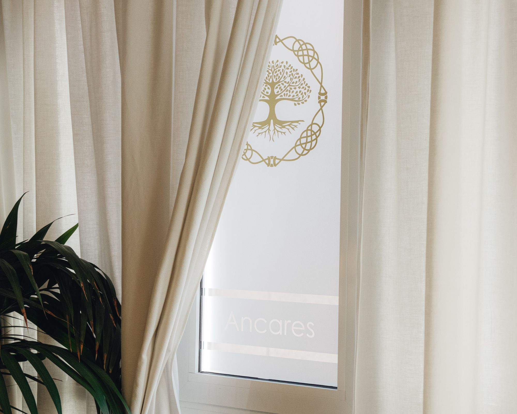 Images ANCARES - Clínica de Psicología y Psicología Online