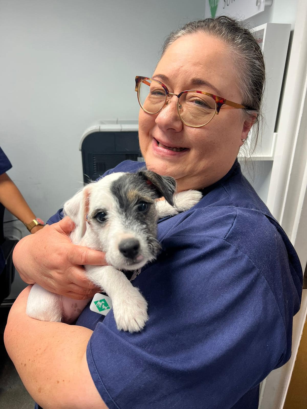Images Streatham Hill Veterinary Surgery