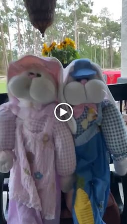 Images Watermelon Swim - Riverview