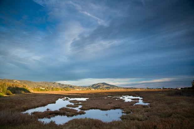 Images Holiday Inn Express & Suites Carpinteria by IHG