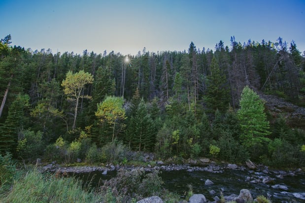 Images Staybridge Suites Great Falls by IHG