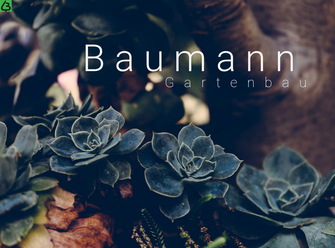 Bilder Baumann Gartenbau AG