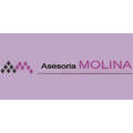 Asesoría Molina Logo