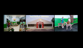 Images Paws 'n' Rec - Rainbow Curve