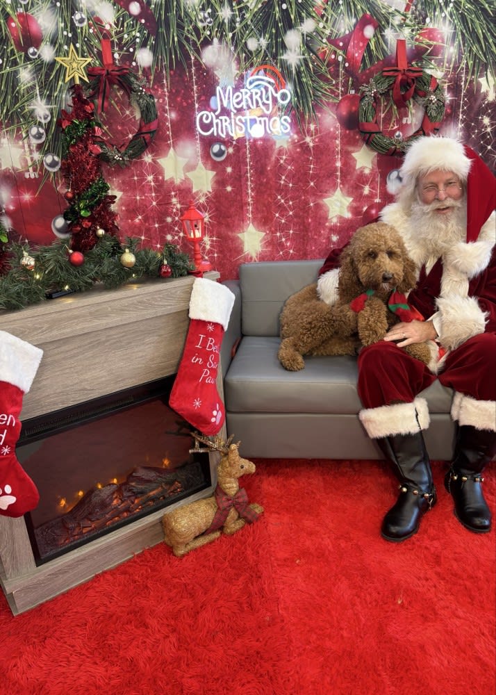 The Dog Stop - Katy Image