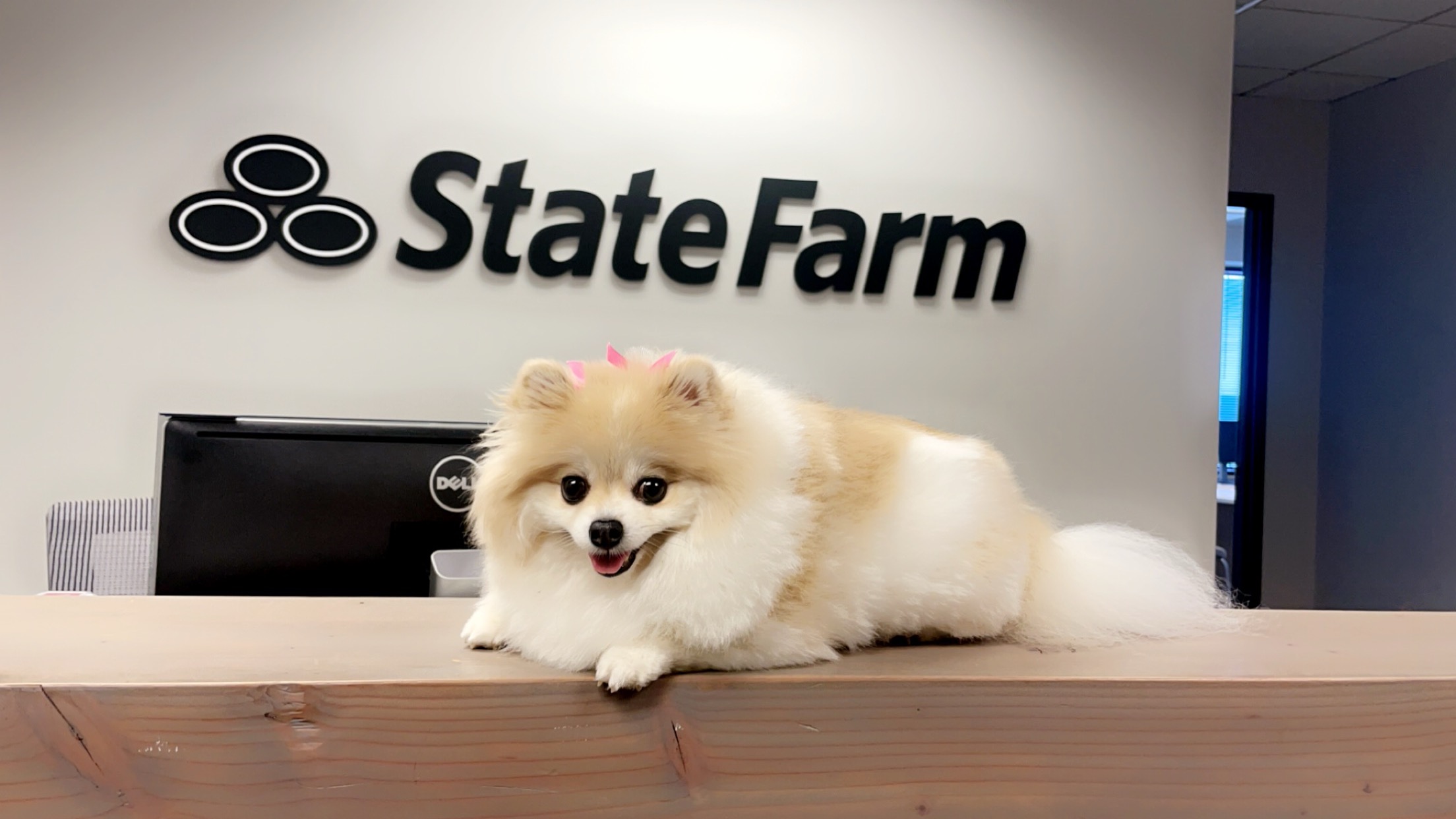 Lidia Mazun - State Farm Insurance Agent