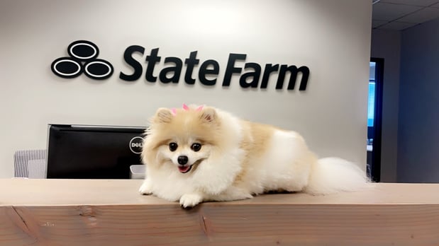 Images Lidia Mazun - State Farm Insurance Agent