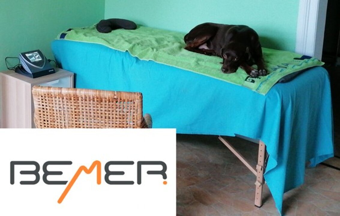 DogWaysCenter Moiken Plath - Hundephysio, Hundehotel/Pension, Hundetraining, Andreßenweg 1 in Friedrichskoog