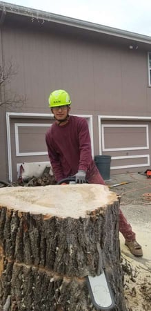 Images Perez Landscape and Trees LLC