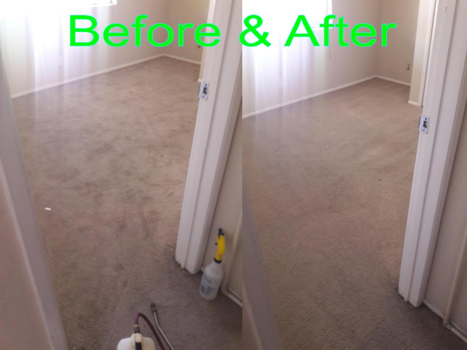 Able Body Carpet & Restoration Photo