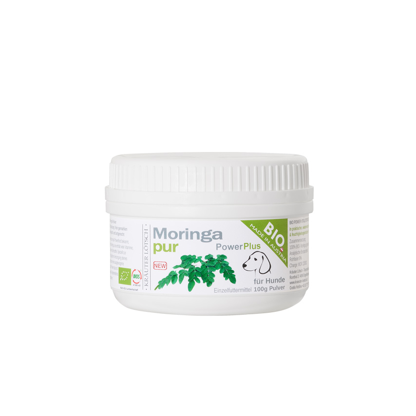 Bilder Kräuter Lötsch