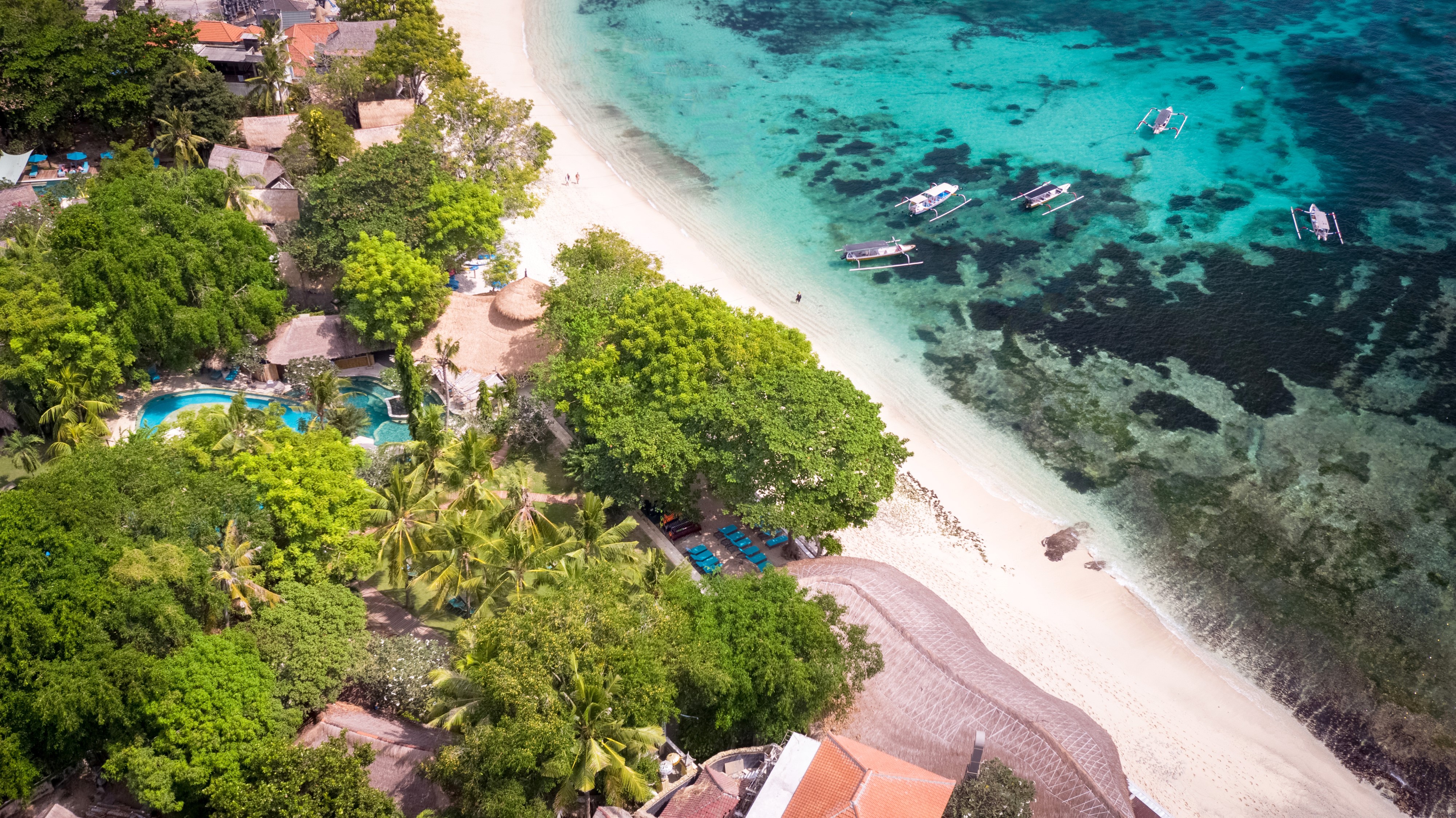 みんなで楽しむ！海・森・文化、余すことなく楽しむガクタビ！バリ島