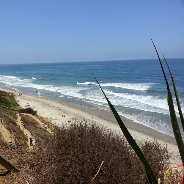 Images C. A. Luce Termite Control