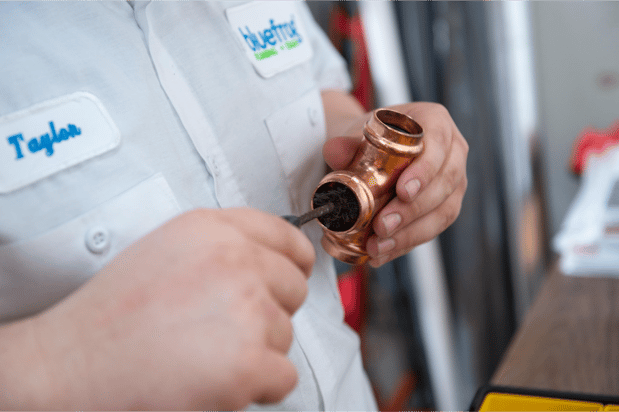 Images bluefrog Plumbing and Drain of North Phoenix