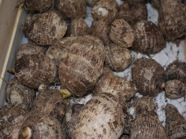 Lina's Filipino Marketplace Image