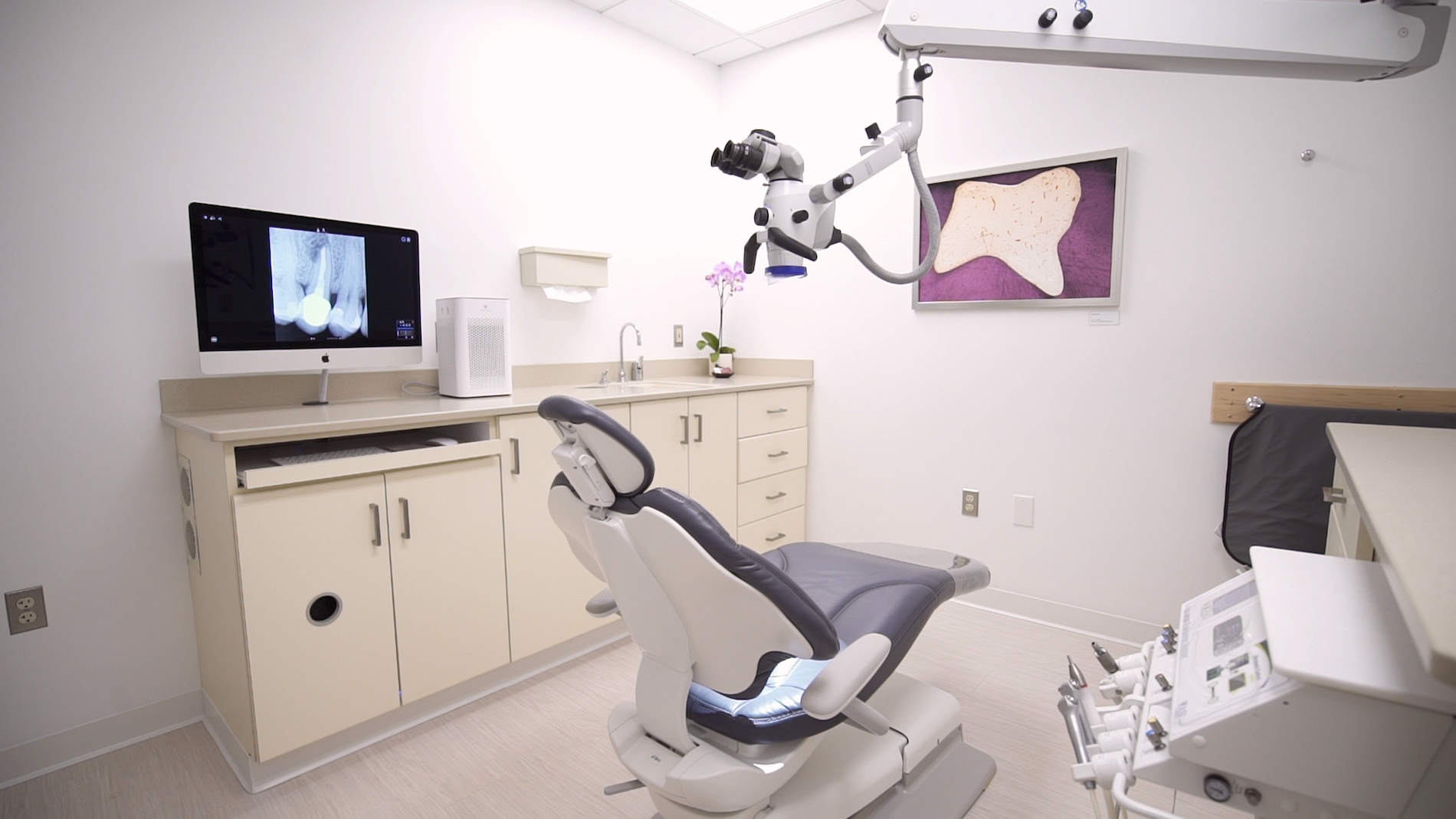 Established in 1995, Perry Endodontics has been at the forefront of providing exceptional endodontic 