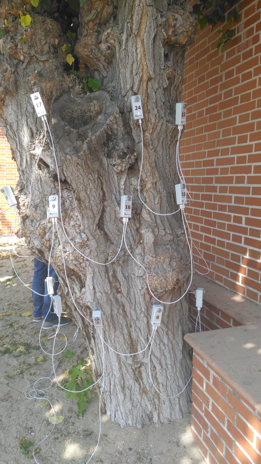 Images Sdl Investigacion Y Divulgacion Del Medio Ambiente S.L.