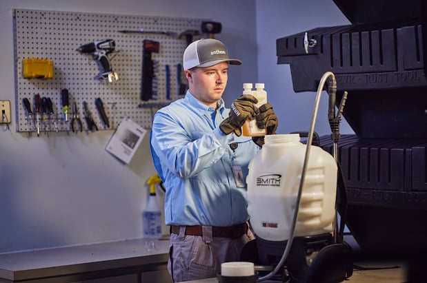 Images Anthem Pest Control