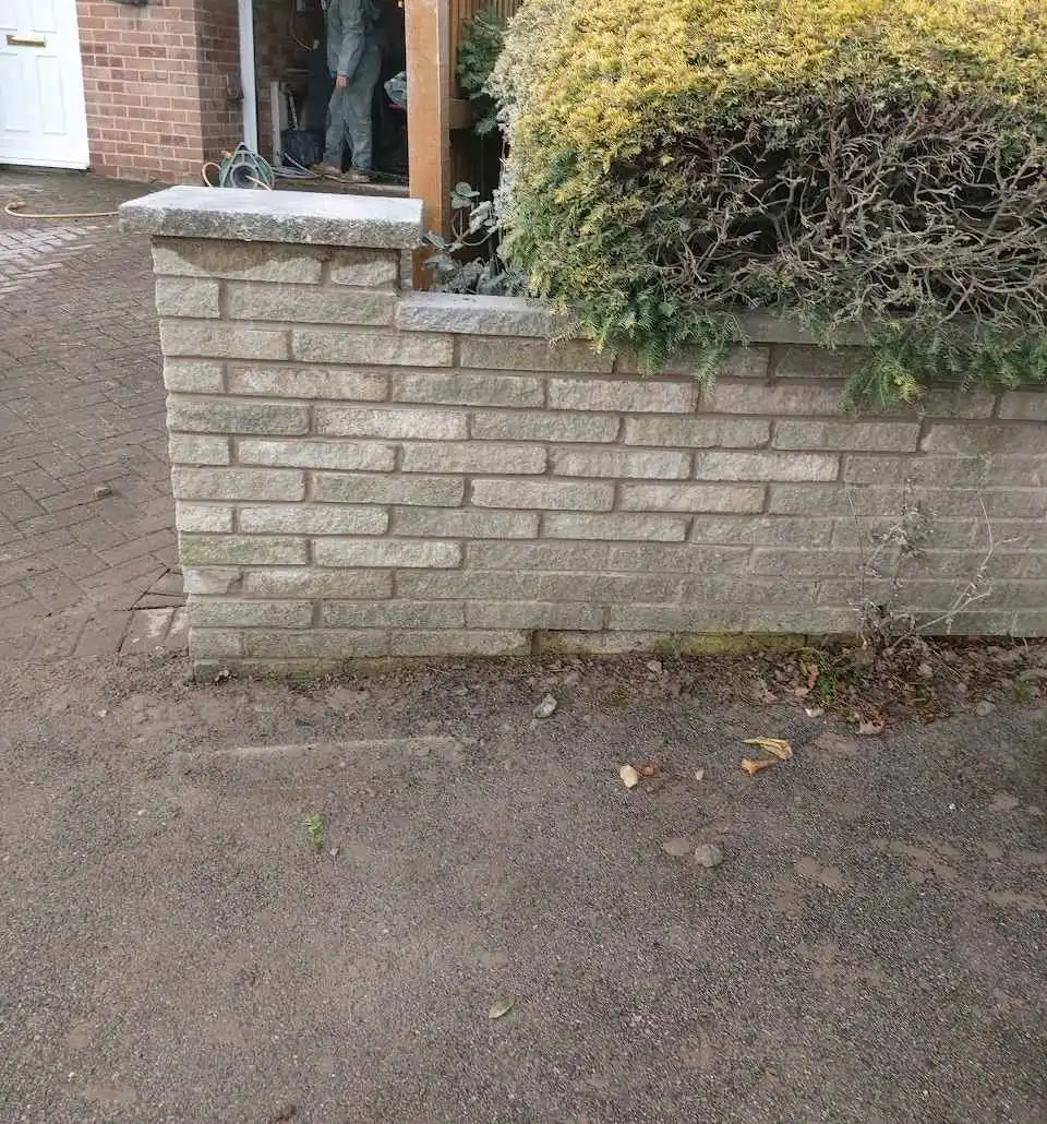 Images PND Pointing Specialists