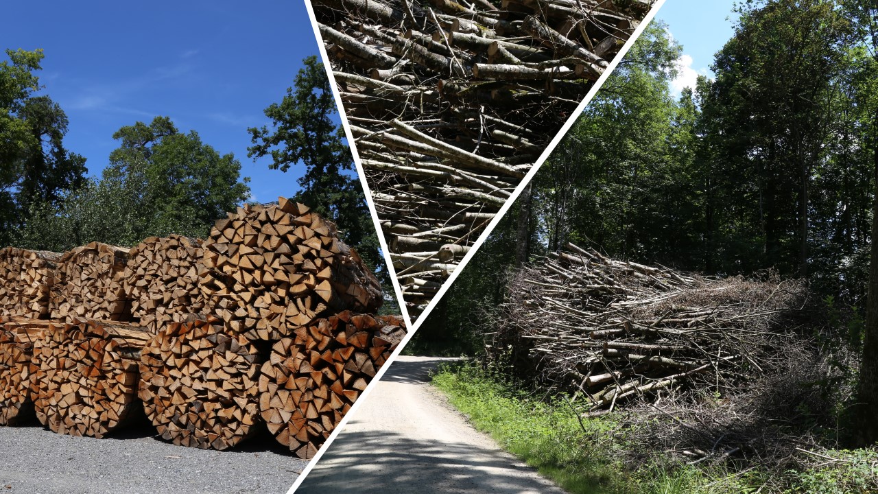 Bilder Holzenergie Schweiz