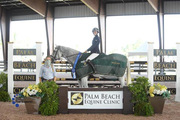 Images Palm Beach Equine Clinic
