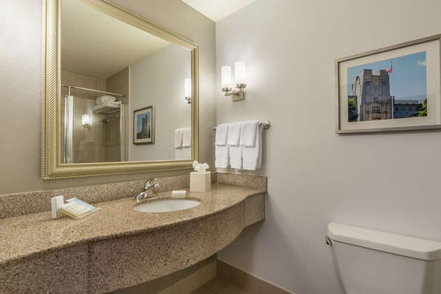 Images Hilton Garden Inn Blacksburg University