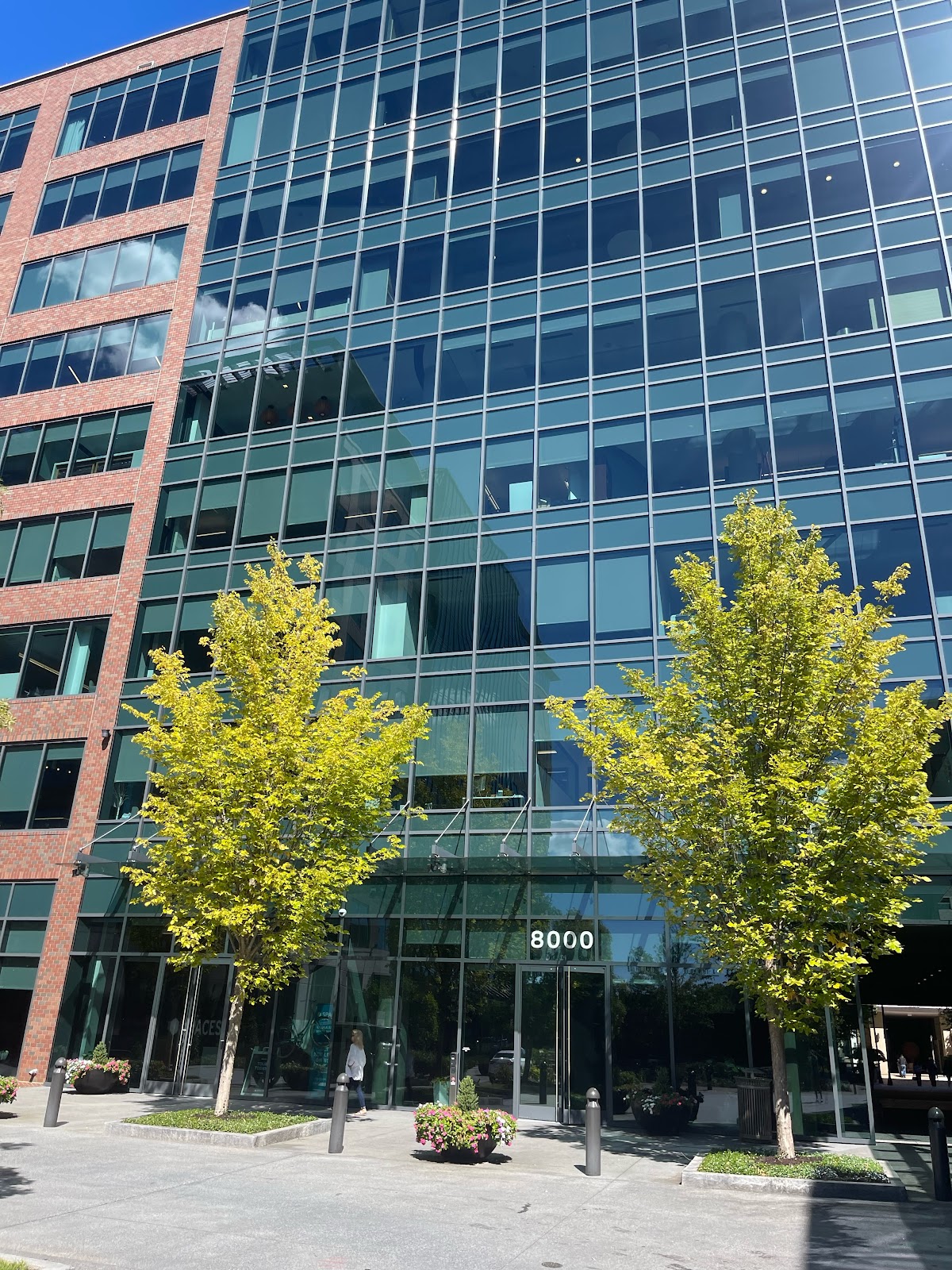 A modern glass and brick office building with trees and planters in front.