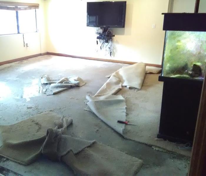 The residents of this Homestead residential property came home to a not quite so lovely surprise when they found their living room carpet covered in standing water. Their fish tank had a leak and spilled gallons of water onto the living room floor. Our crew at SERVPRO of Cutler Bay was called out, and we arrived shortly with our equipment and expertise.