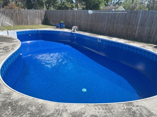 Images Paradise Palm Pools Inc