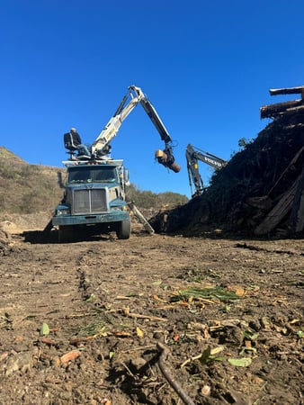 Images Magana Tree Service