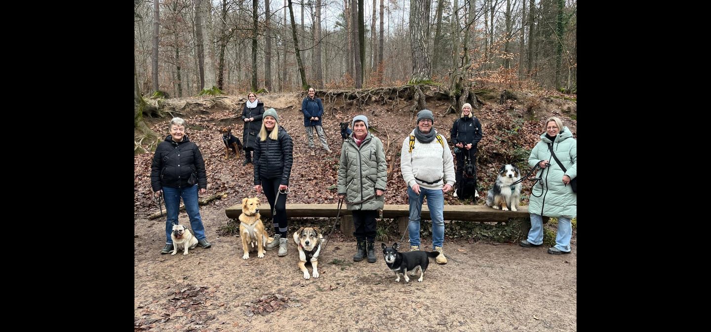 PAWtner Hundetraining Sabrina Rösch, Am Tiefenbach 10 in Ilsfeld