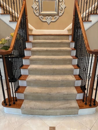 Images Elite Green Carpet Cleaning