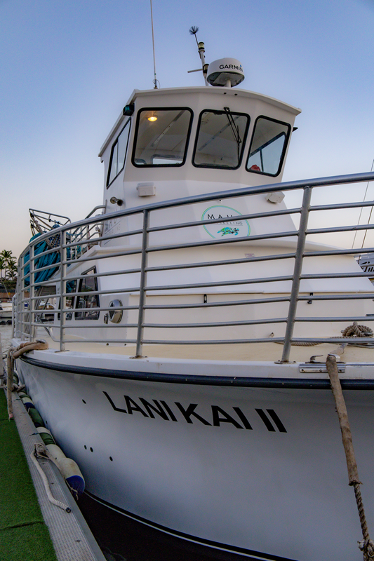 Images Maui Snorkeling
