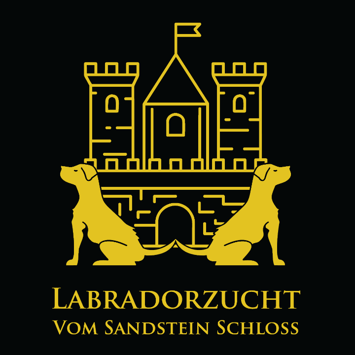 Labradorzucht vom Sandstein Schloss