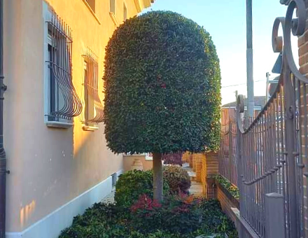 Images Il Giardiniere Cacciolatti Enrico