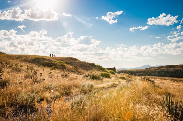 Images Staybridge Suites Great Falls by IHG