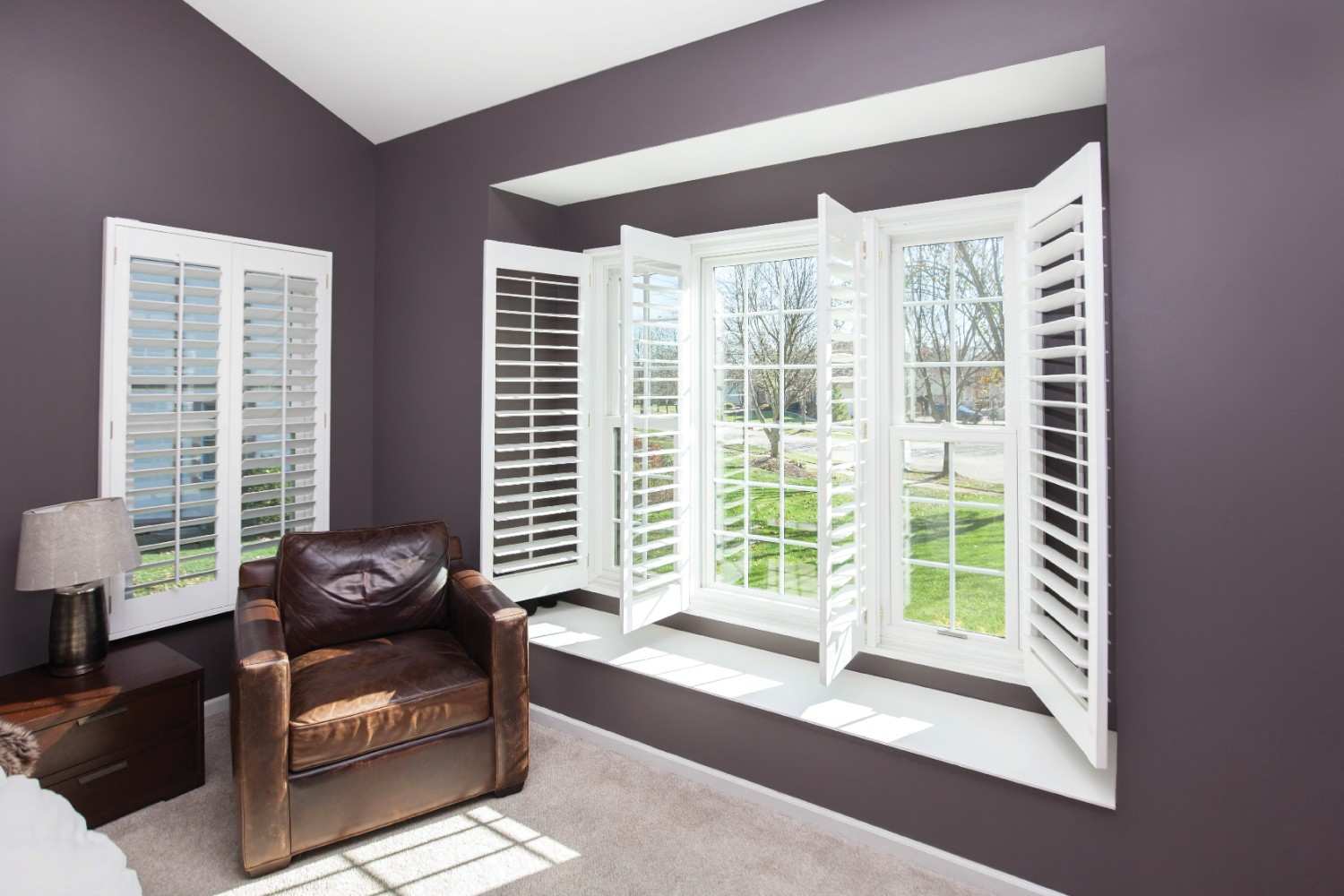 Infinity by Marvin Double Hung Windows