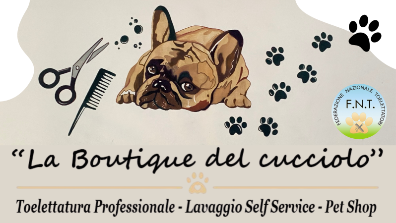 Images La Boutique del Cucciolo - Toelettatura professionale cani