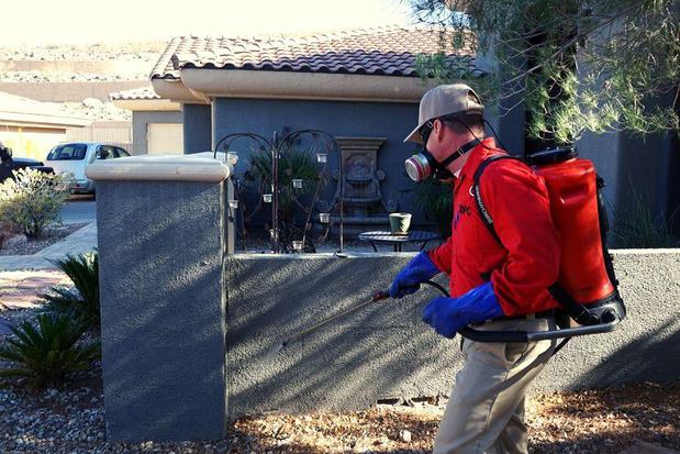 Images Dr. Death Pest Control