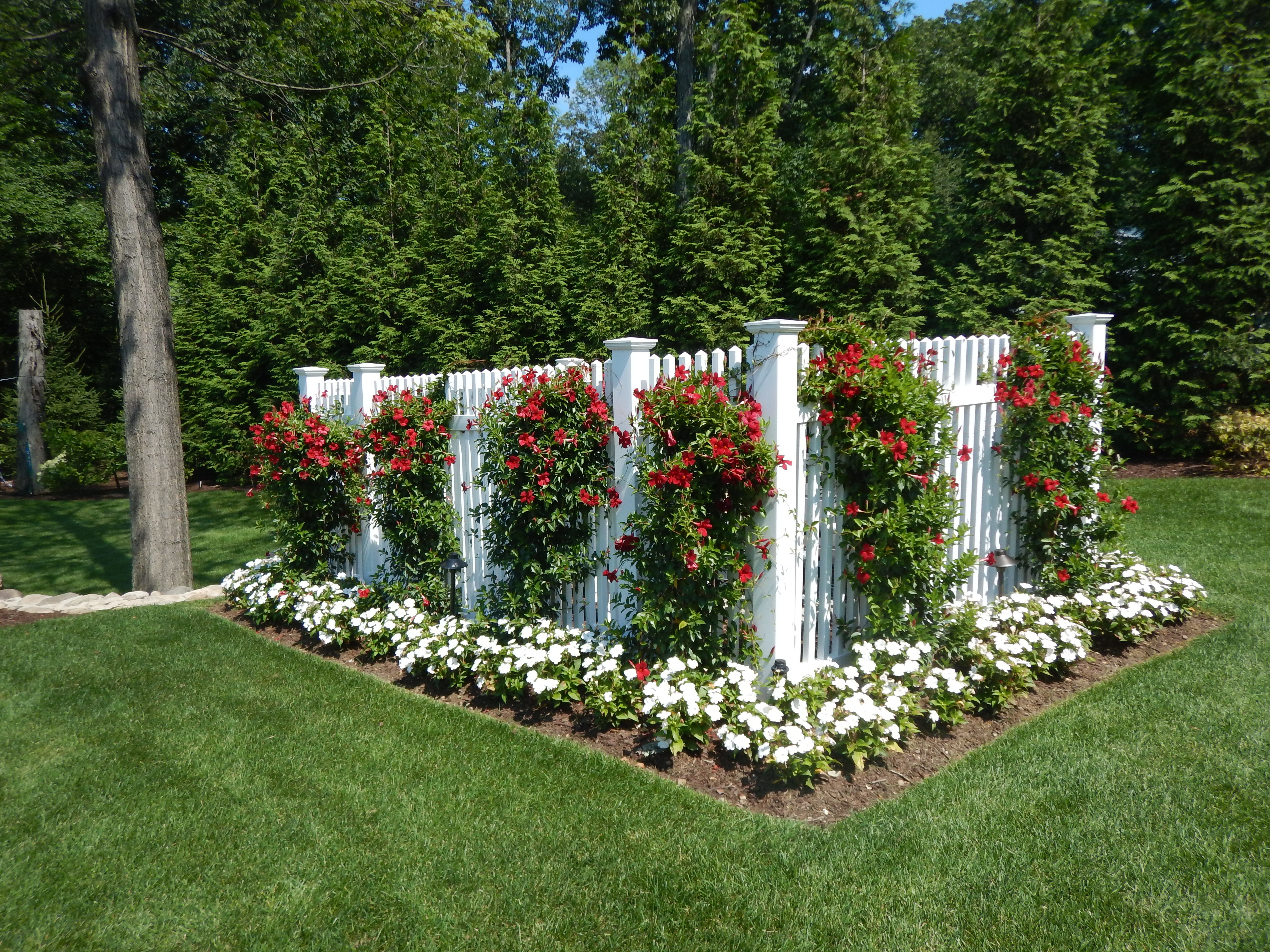 landscape design near me