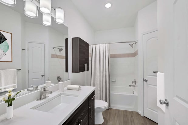 Images Camden College Park Apartments