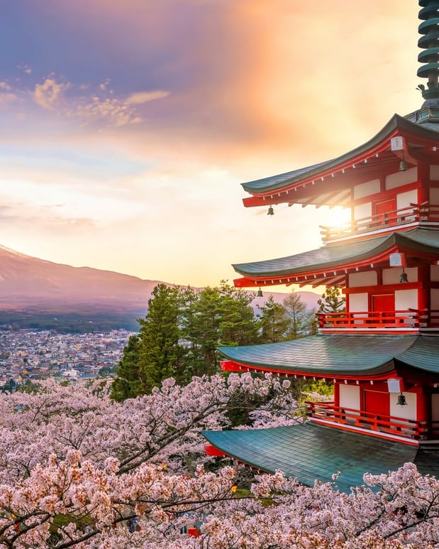 Images Vacations by Violet