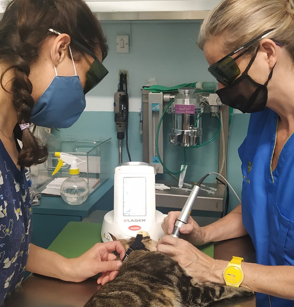 Images Clinica Veterinaria General Margallo